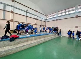 ΕΡΜΗΣ ΠΙΤΑ