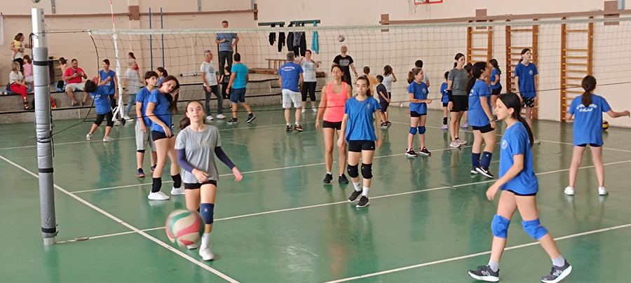 asp-ermis glykia zwi volei patra volley